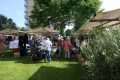 Piet-Jonker-weidevenner.nl-wheermolen-rommel-9