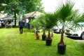 Piet-Jonker-weidevenner.nl-wheermolen-24-25