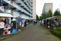 Piet-Jonker-weidevenner.nl-wheermolen-24-4