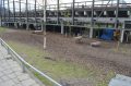 tuin weide 1