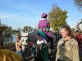 Piet Jonker Sint weidevenner (52)