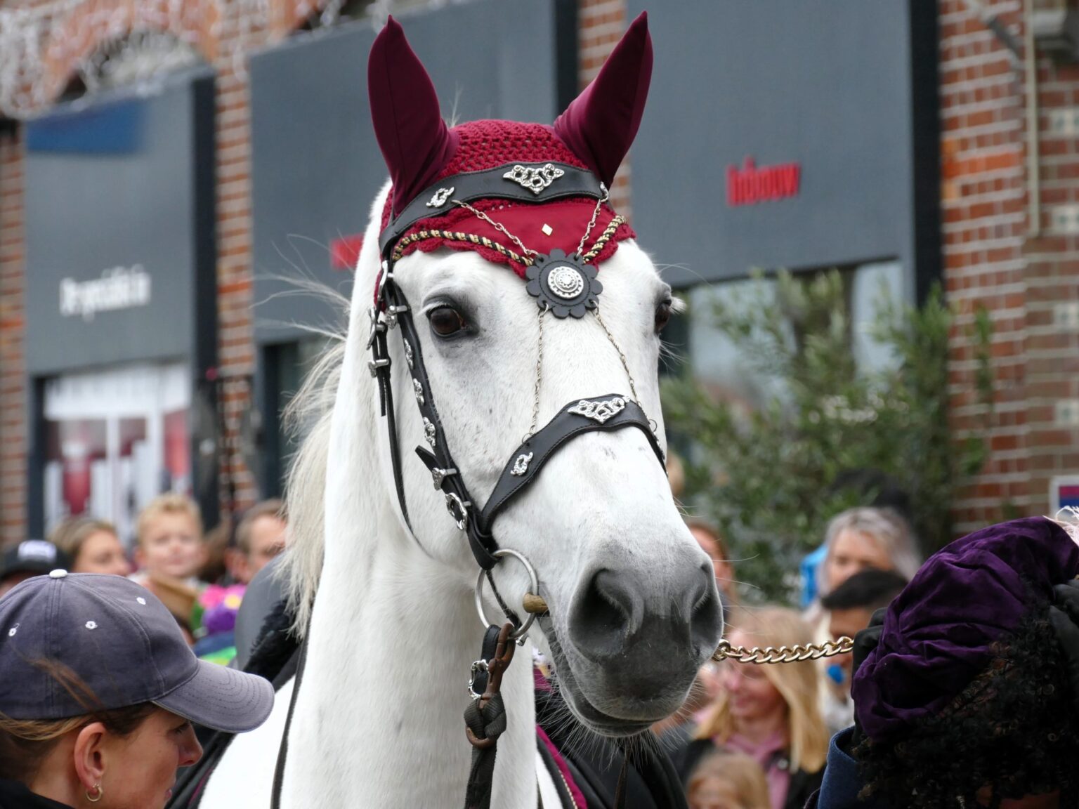 Piet-Jonker-weidevenner-sint-intocht-2023-30