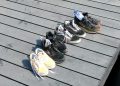 Piet Jonker solar P1350379 (Medium) (87)