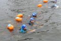 Piet-Jonker-weidevenner-.nl-swim-25-13