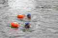 Piet-Jonker-weidevenner-.nl-swim-25-7