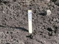 piet-jonker-tramplein-20-maart-14-12