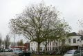 piet-jonker-tramplein-toen-en-nu-80