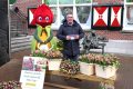2-weidevenner.nl-tulpen-10