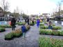 Tulpen Purmerend 28mrt26