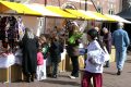 5-weidevenner.nl-tulpen-6