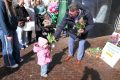 weidevenner.nl-tulpen-13
