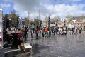 weidevenner.nl-tulpen-14