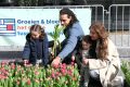weidevenner.nl-tulpen-3