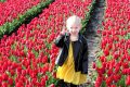 Piet-Jonker-weidevenner-tulpen-24-19