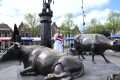 weidevenner.nl-vrijheidssoep-14