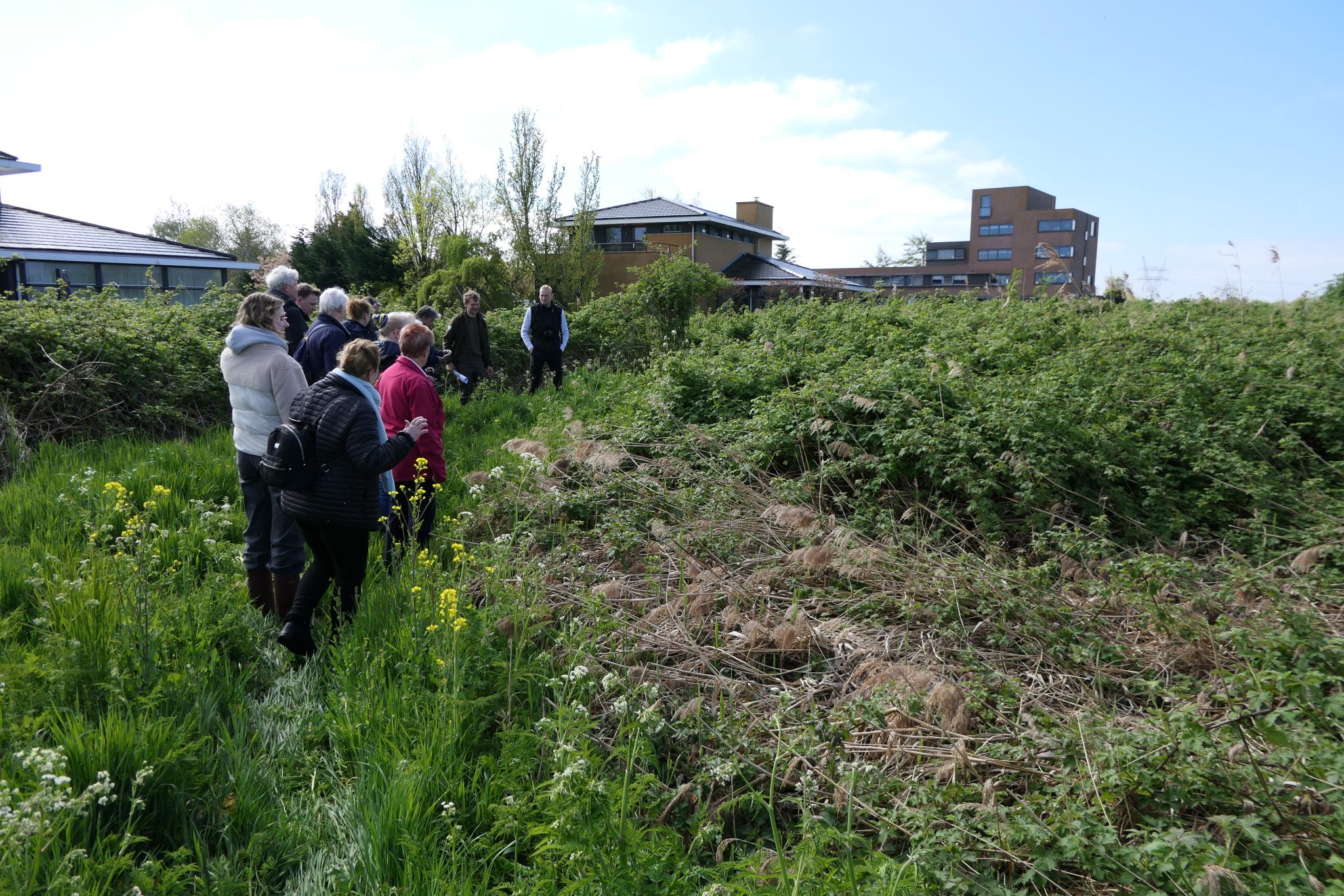 8-weideveld-weidevenner.nl-bramen-Piet-Jonker