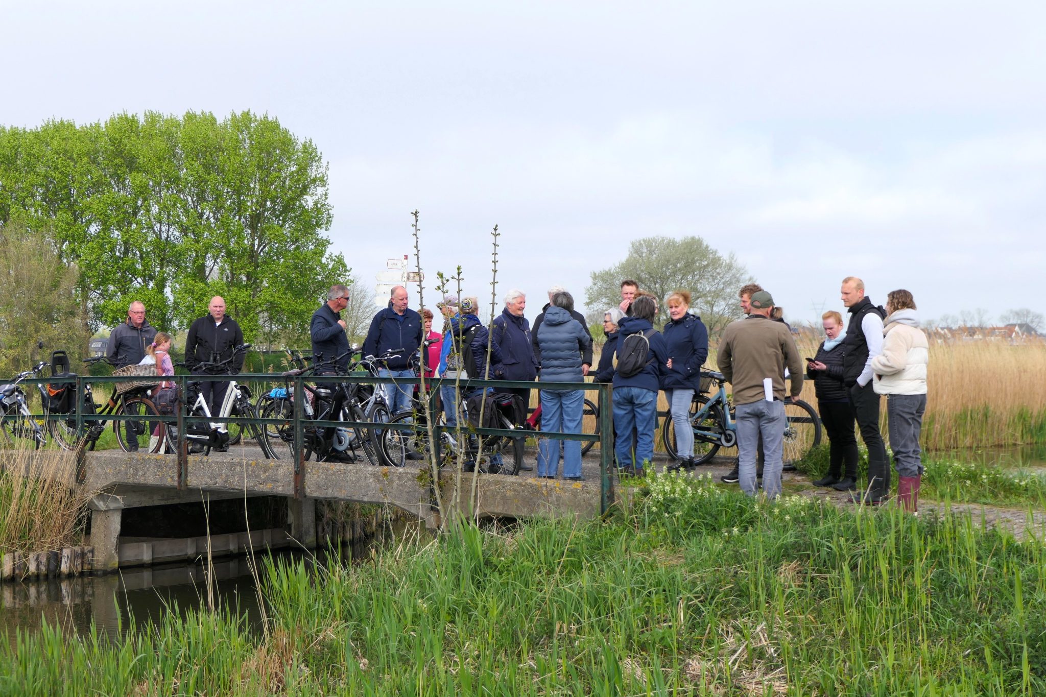 Brug-verzamelen-weideveld-weidevenner.nl-Piet-Jonker