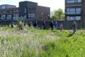 10-weideveld-weidevenner.nl-Piet-Jonker