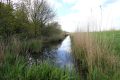 3-Weideveld-weidevenner.nl-Piet-Jonker