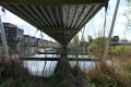 7-weideveld-weidevenner.nl-Piet-Jonker
