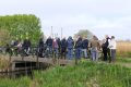Brug-verzamelen-weideveld-weidevenner.nl-Piet-Jonker