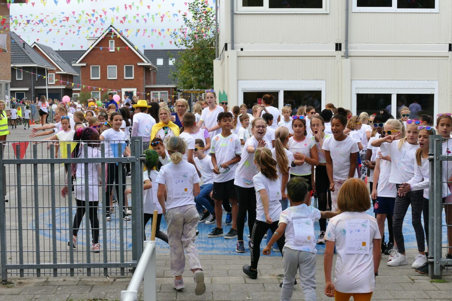 Piet-Jonker-weidevenner-weidevogels-22