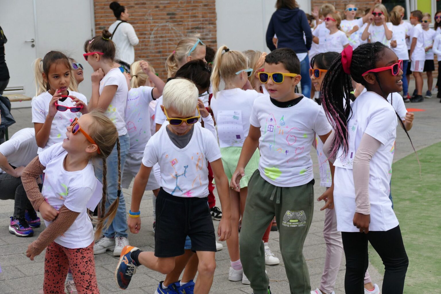Piet-Jonker-weidevenner-weidevogels-9