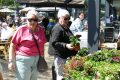 Piet-jonker-weidevenner-passtoors-markt-10