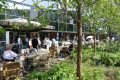 Piet-jonker-weidevenner-passtoors-markt-18