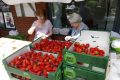 Piet-jonker-weidevenner-passtoors-markt-27
